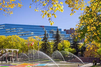 city of calgary contact information.